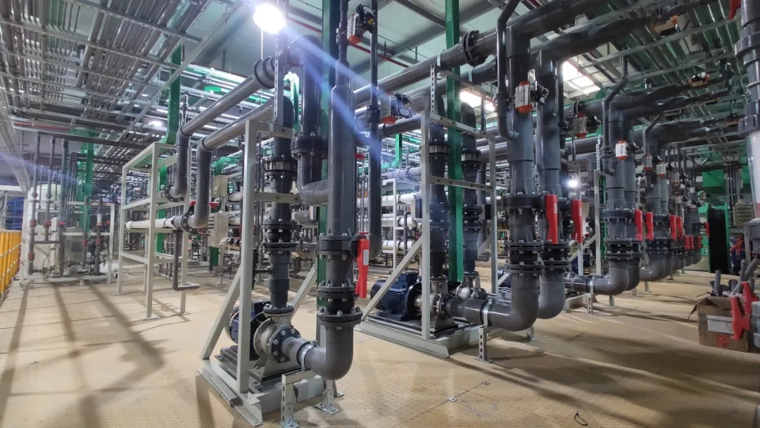 奔向零碳:加快形成绿色发展,建设生态美丽地球