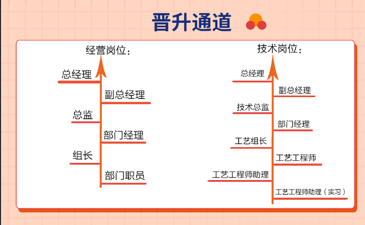 九游会·J9-官方网注重人才培养